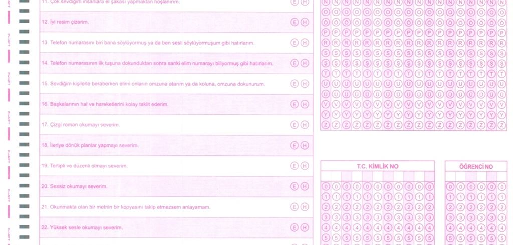 K12NET ÖĞRENME STİLLERİ ENVANTERİ