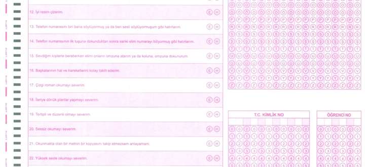 K12NET ÖĞRENME STİLLERİ ENVANTERİ