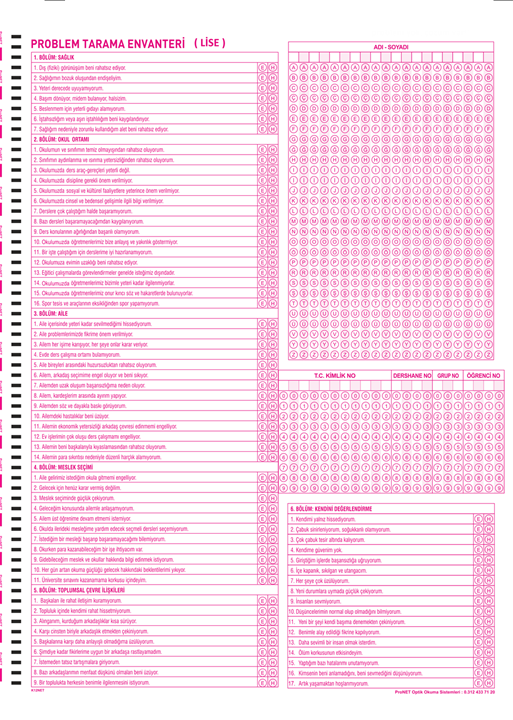 K12NET Problem Tarama Lise