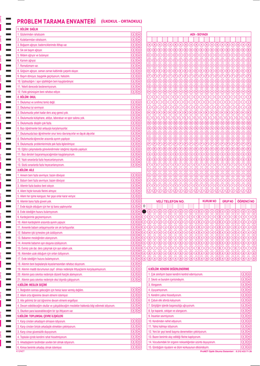 K12NET Problem Tarama İlkokul - Ortaokul