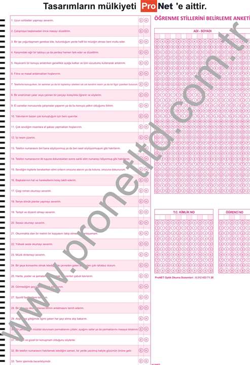 K12NET ÖĞRENME STİLLERİ ENVANTERİ