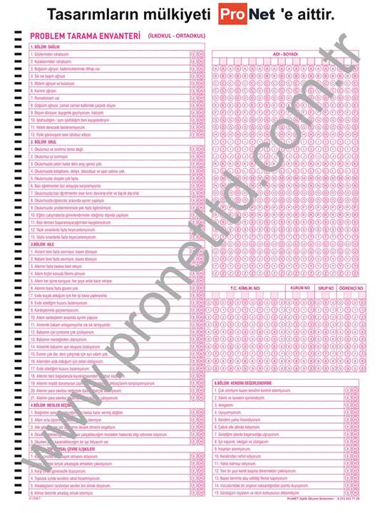 K12NET Problem Tarama İlkokul - Ortaokul