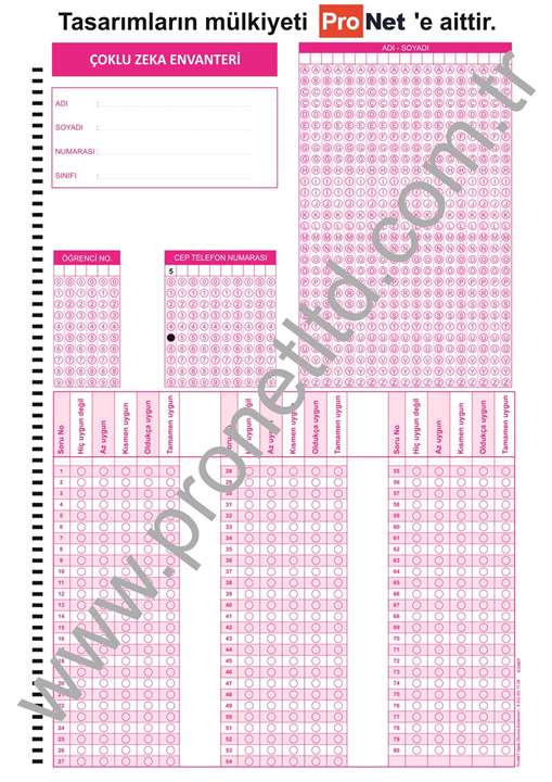 K12NET ÇOKLU ZEKA ENVANTERİ