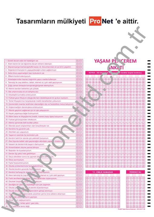 K12NET YAŞAM PENCEREM ANKETİ