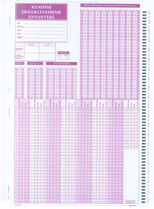 K12NET Kendini Değerlendirme Anketi