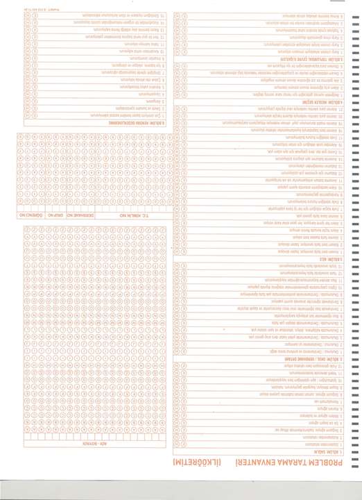 K12NET Problem Tarama İlkokul - Ortaokul