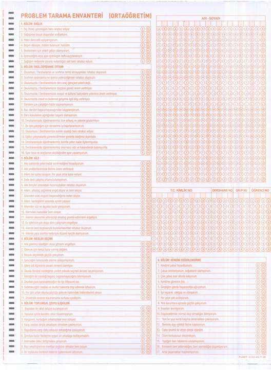 K12NET Problem Tarama Lise